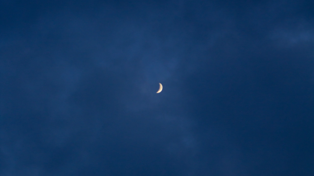 淫楼菊星探索城市夜色中的独特魅力